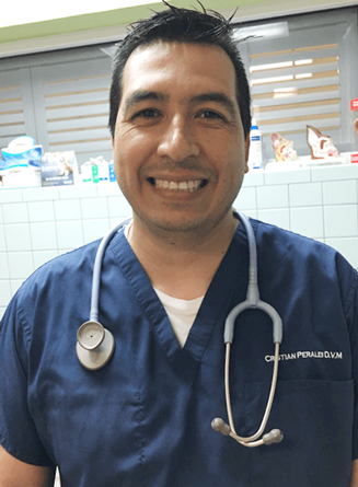Dr. Cristian Perales D.V.M.